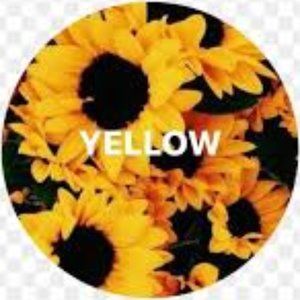 This is a announcement only